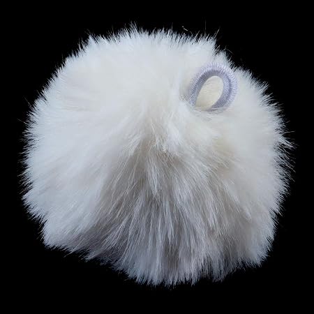 POMPOM
