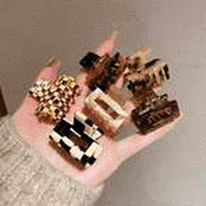6pcs/Pack Leopard & Cheetah...