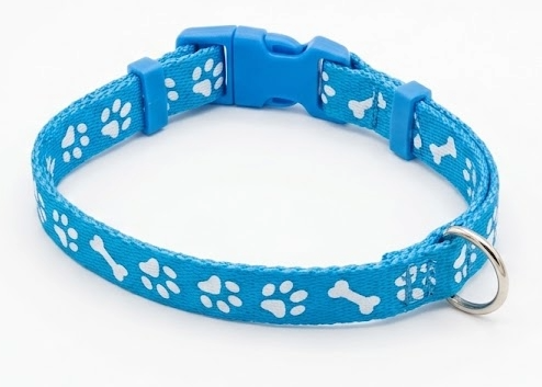 COLLARES PARA MASCOTAS