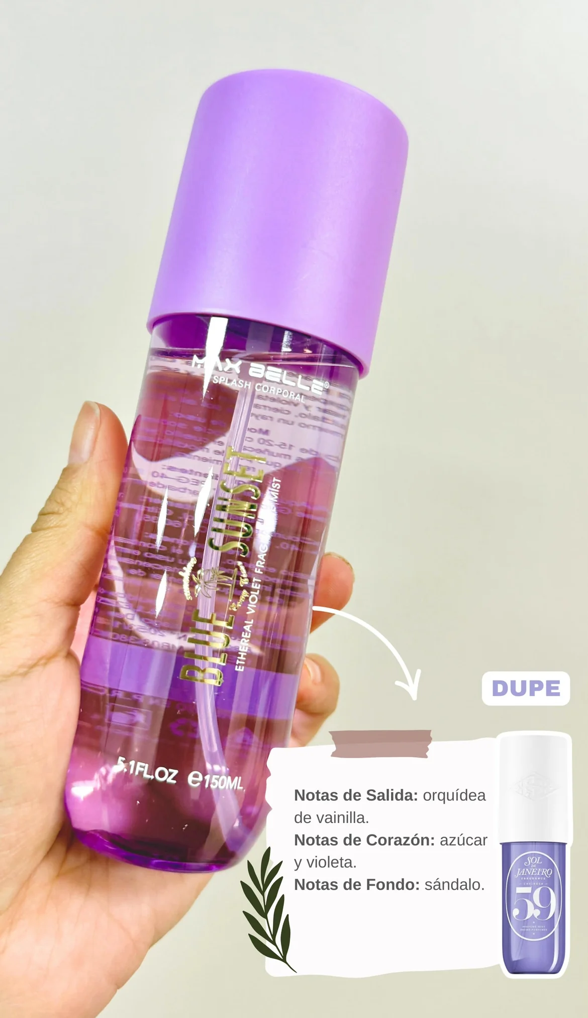 splash QeBELLA 5.7OZ