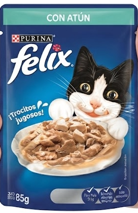 comidas para gatos
